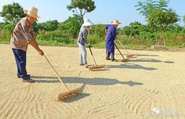 思聪乡新领导引领未来腾飞