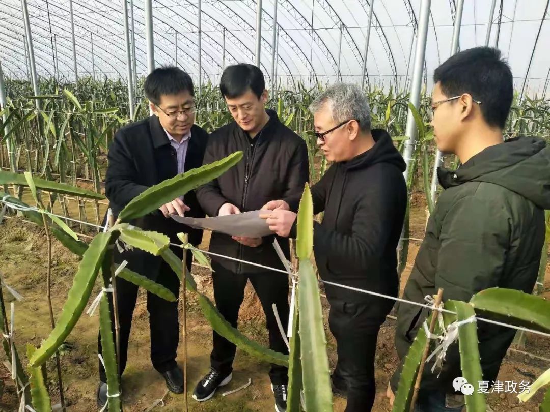 小峰经济作物场新领导引领变革与发展之路