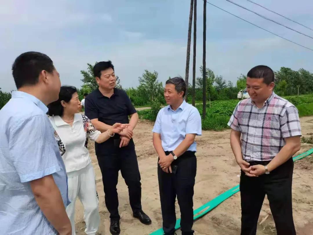 建新乡未来繁荣蓝图，最新发展规划揭秘