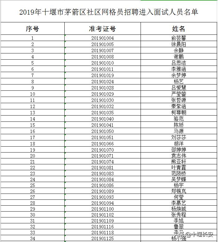 茅箭区小学招聘概况与未来展望