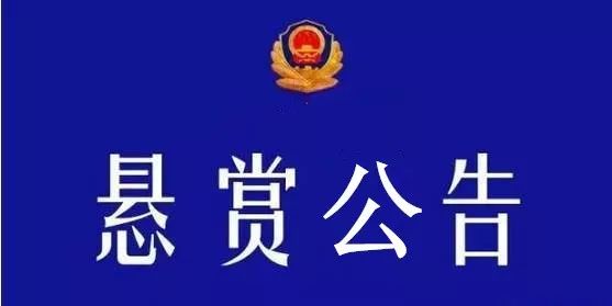 沛县公安局人事任命重塑警务力量，推动县域安全新篇章开启