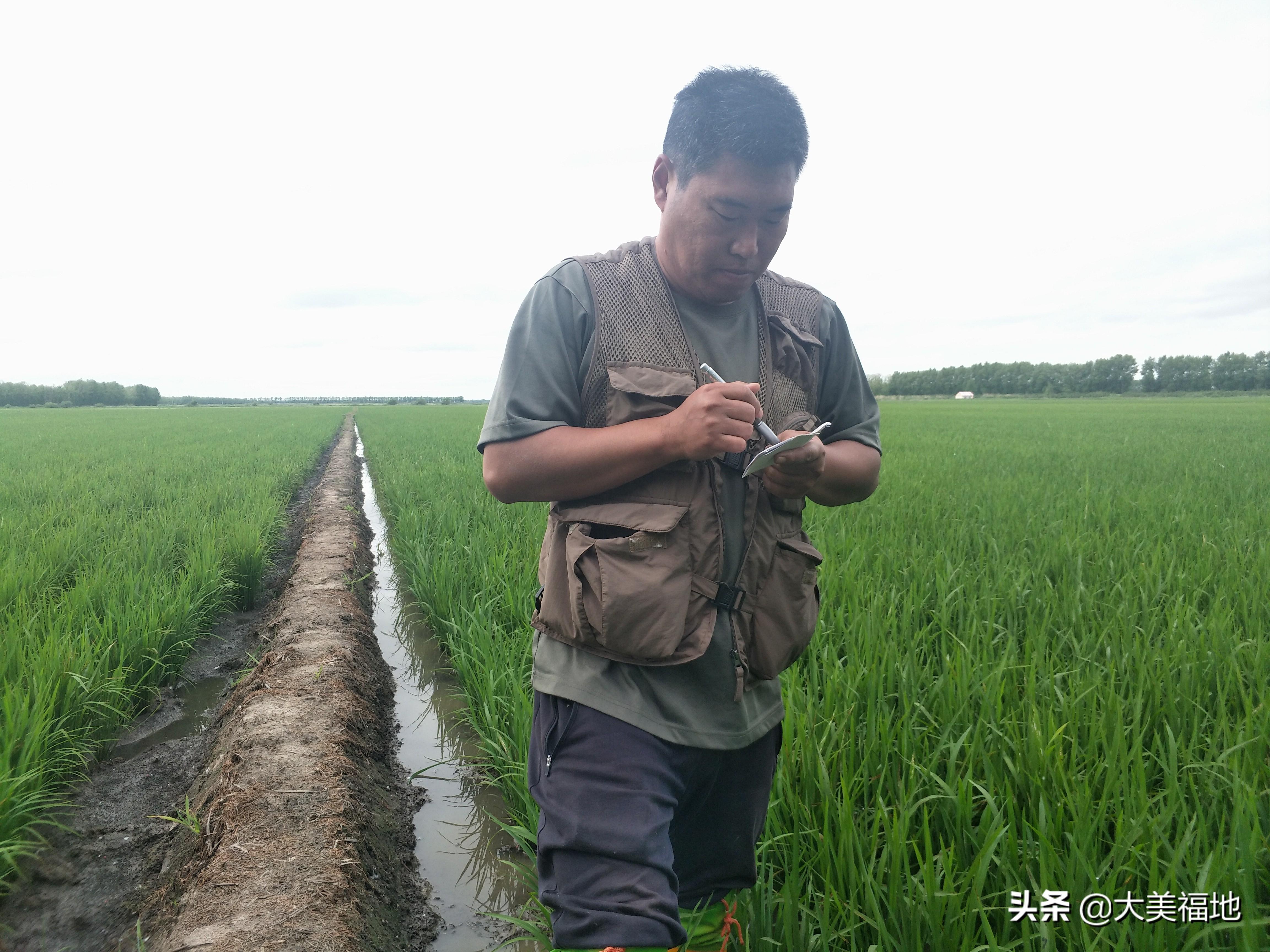 绥滨农场人事大调整，引领农场发展新篇章