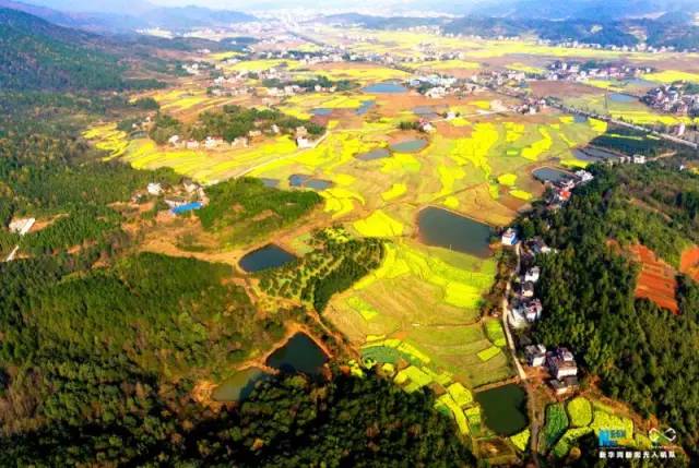 库宗乡新项目，地区发展的强大推动力