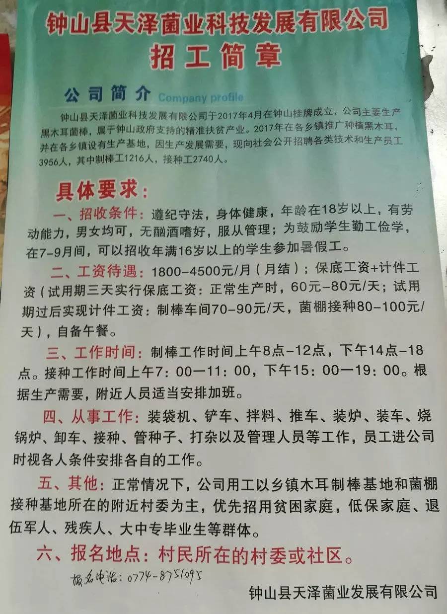 元竹镇最新招聘信息，职业新起点等你来开启！