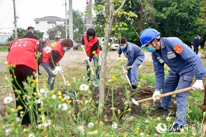 梧州市供电局新项目引领城市电力革新篇章