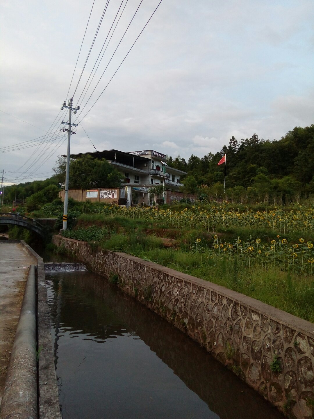 龙溪乡最新天气预报