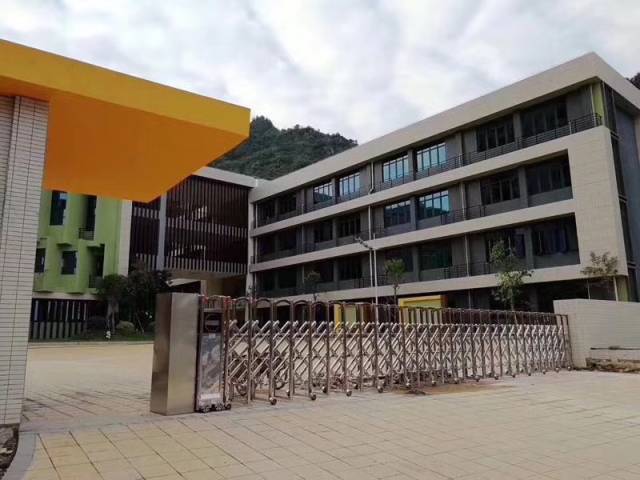 金城江区小学新项目，探索现代教育新篇章