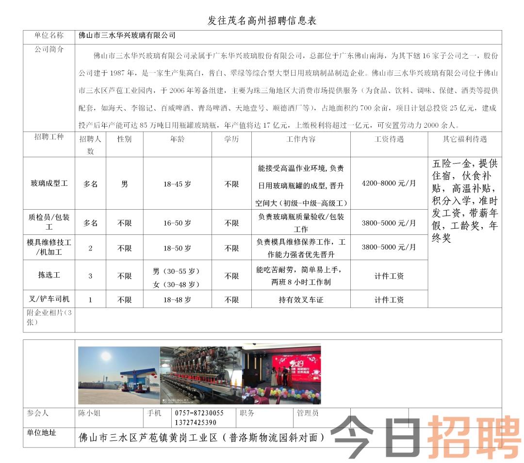 吉强镇最新招聘信息总览