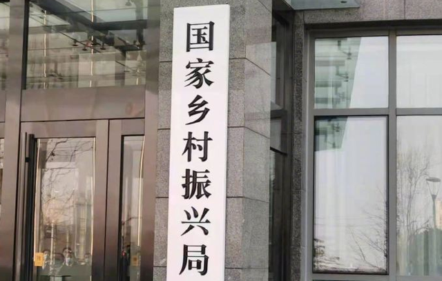 兴湾村委会最新交通新闻