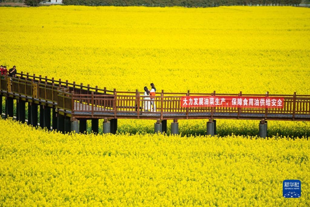 十美堂镇最新项目，引领未来发展的新引擎