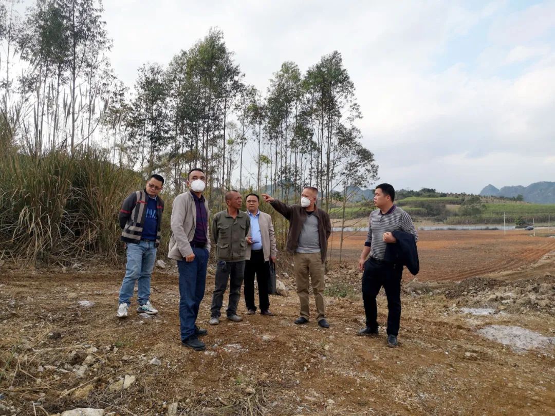 江州区自然资源和规划局最新项目概览，推动区域可持续发展新篇章