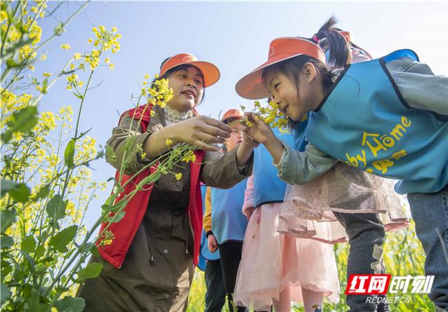 祥霖铺镇最新新闻速递