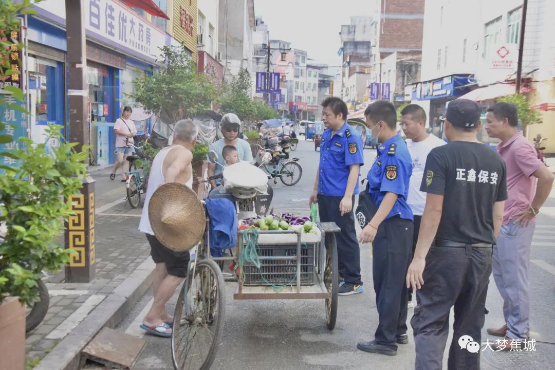 霍童镇最新新闻，发展动态与社区更新