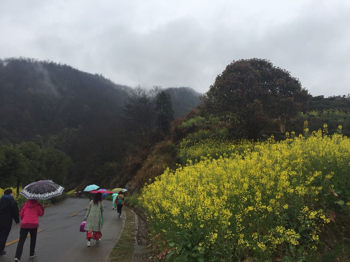 黄雷乡天气预报更新通知