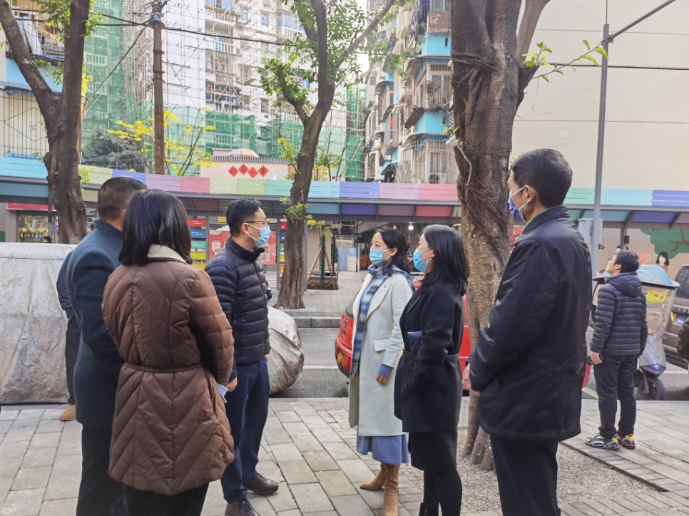 鸳鸯街道未来发展规划揭秘，塑造城市新面貌的蓝图