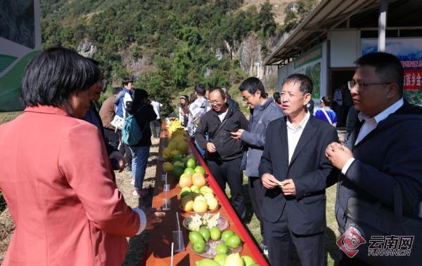 果嘎村新领导引领乡村发展的核心力量崛起