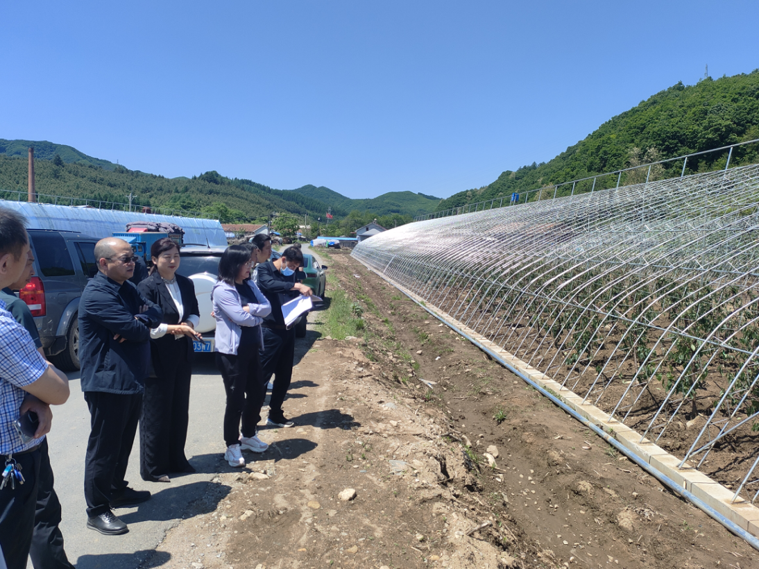 集安市农业农村局最新项目进展及其深远影响