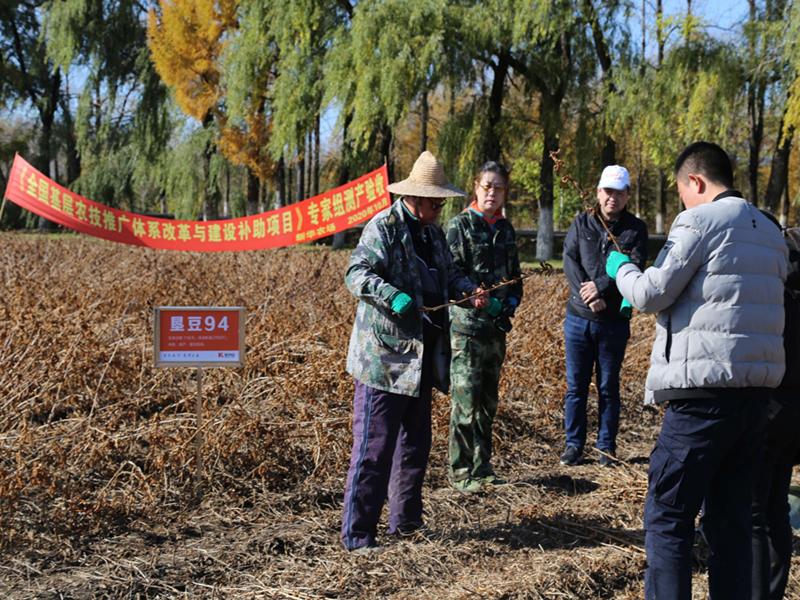 名山农场最新交通新闻，打造现代化交通网络，助力地方经济腾飞