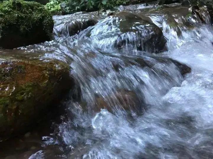 瑶区瑶族乡天气预报与社区动态一览