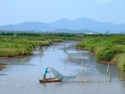 银湖湾湿地公园交通优化新闻，提升游客出行体验，最新交通动态发布