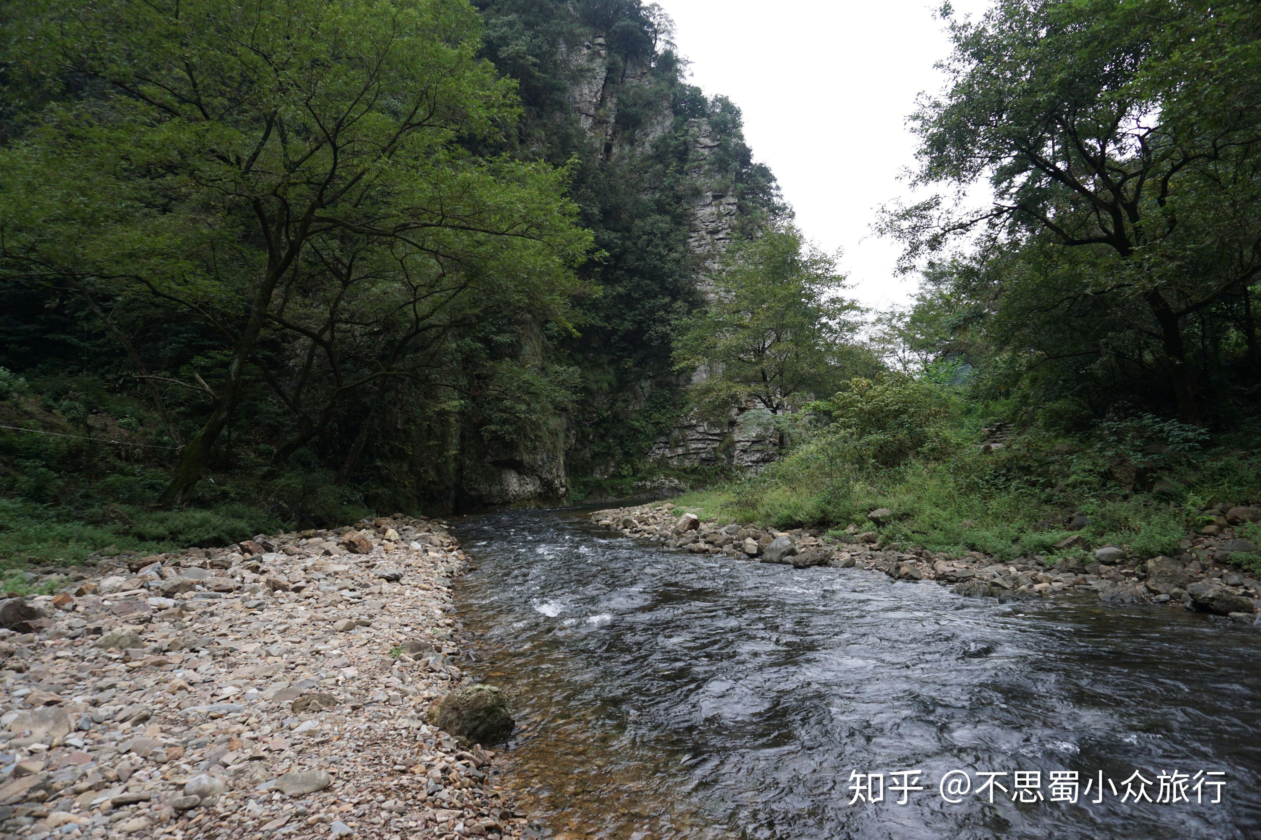 汀溪防护林场新领导团队引领下的发展之路